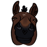 Profile picture of TORG - The Organized Rider's Gameplan